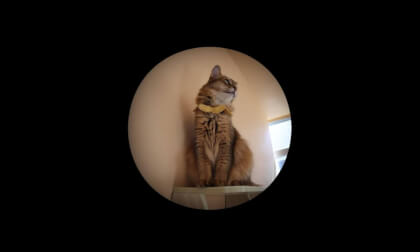 noncrop-0321-3D180.vr.MP4 noncrop-0321-3D180.vr.MP4