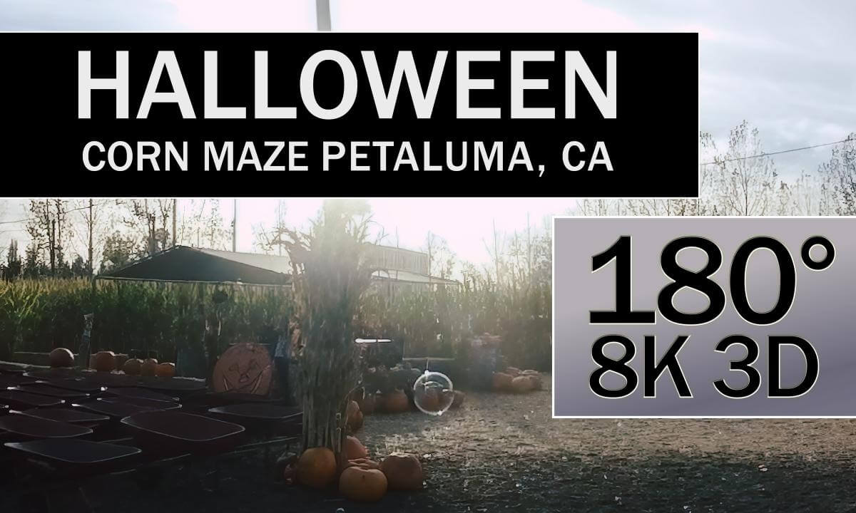 Happy Halloween! Corn Maze, Petaluma Pumpkin Patch, Petaluma, CA