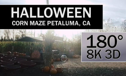 Happy Halloween! Corn Maze, Petaluma Pumpkin Patch, Petaluma, CA Happy Halloween! Corn Maze, Petaluma Pumpkin Patch, Petaluma, CA