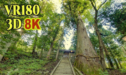 Shimofuri-no-miya Hosono Suwa Shrine with a 1000-year-old cedar tree in Hakuba,Nagano,Japan Shimofuri-no-miya Hosono Suwa Shrine with a 1000-year-old cedar tree in Hakuba,Nagano,Japan