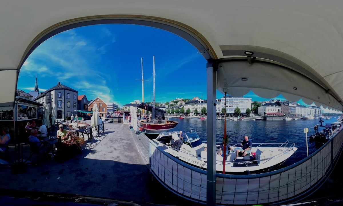 Pollen in Arendal, Norway 360