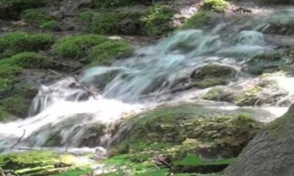 Water The Element Of Life VR Video Water The Element Of Life VR