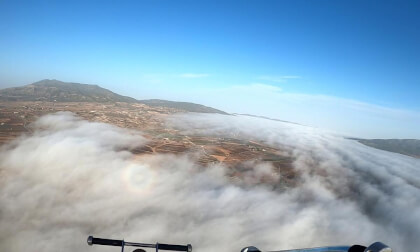 Pinoso precioso. VR Video Pinoso precioso. VR