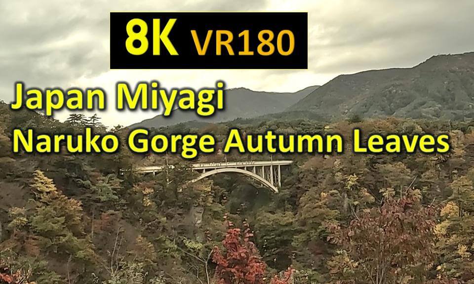 Japan Miyagi Naruko Gorge Autumn Leaves