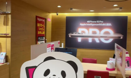 Spatial Video TEST iPhone16 converted to FSBS VR Video Spatial Video TEST iPhone16 converted to FSBS VR