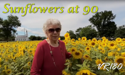 Standing in a field of Sunflowers Standing in a field of Sunflowers