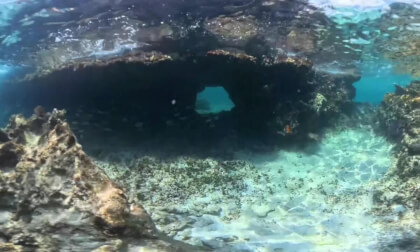 Underwater Adventure: Diving with SeaNXT Elite, Dolphins, and Sting Rays in the Bahamas VR Video Underwater Adventure: Diving with SeaNXT Elite, Dolphins, and Sting Rays in the Bahamas VR