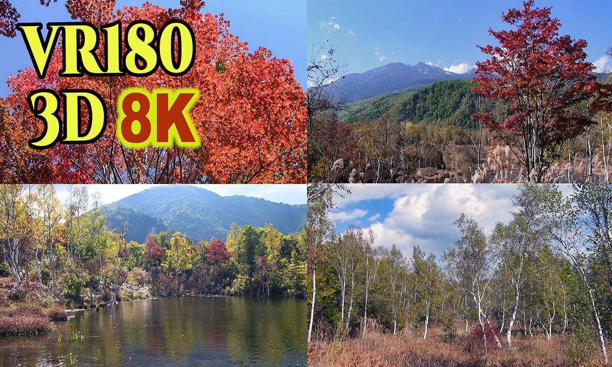 Autumn leaves in Norikura,Nagano,JAPAN, shot on SONY HDR-TD10,old 3D video camera
