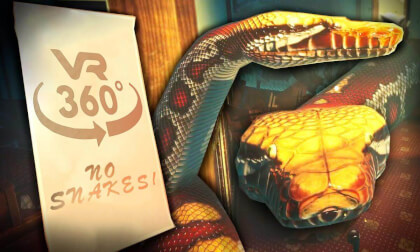 No Snake Hotel 🐍 Guarantee for ...% 360° No Snake Hotel 🐍 Guarantee for ...% 360°