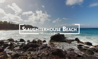 8K 360° | Exploring Maui - Slaughterhouse Beach, Mokule‘ia Bay 🌊☀️ VR Video 8K 360° | Exploring Maui - Slaughterhouse Beach, Mokule‘ia Bay 🌊☀️ VR