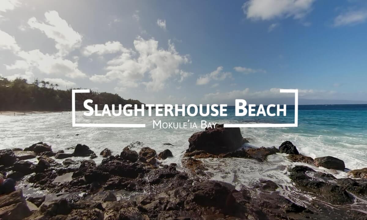8K 360° | Exploring Maui - Slaughterhouse Beach, Mokule‘ia Bay 🌊☀️
