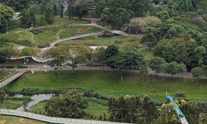 Singapore AngMoKio Bishan park walking part 3