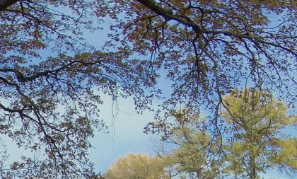 sv1040078kn21 VR Video sv1040078kn21 VR