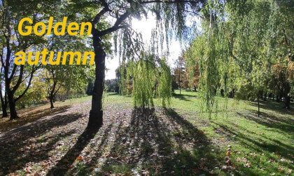 Golden Autumn VR180 3D VR Video Golden Autumn VR180 3D VR