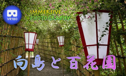 Mukojima and Hyakkaen Gardens VR Video Mukojima and Hyakkaen Gardens VR