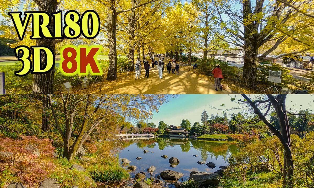 Spectacular Autumn View at National Showa memorial park in Tokyo , JAPAN