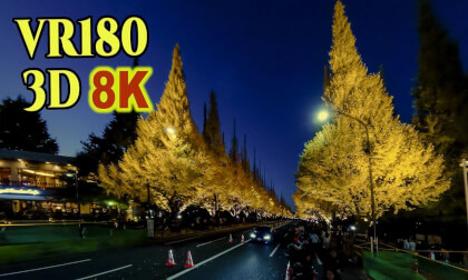 Illumination of the Ginkgo Tree Line in Jingu Gaien ,Tokyo , JAPAN VR Video Illumination of the Ginkgo Tree Line in Jingu Gaien ,Tokyo , JAPAN VR