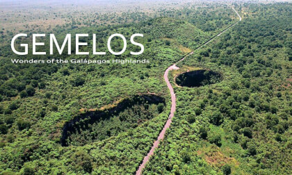 Los Gemelos: The Hidden Wonders of the Galápagos Highlands Los Gemelos: The Hidden Wonders of the Galápagos Highlands