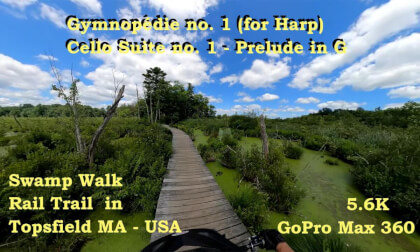 Swamp Walk with music HEVC  360 GP Max Video Swamp Walk with music HEVC  360 GP Max Video