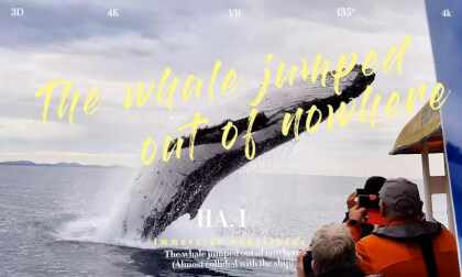 The whale jumped out of nowhere. (Almost collided with the ship) VR Video The whale jumped out of nowhere. (Almost collided with the ship) VR