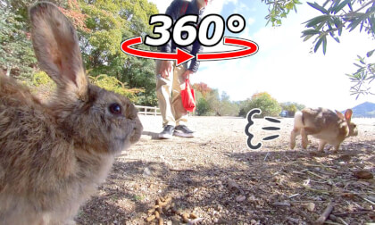VR 360° | They've gone somewhere. VR 360° | They've gone somewhere.