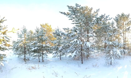 saiberia VR Video saiberia VR