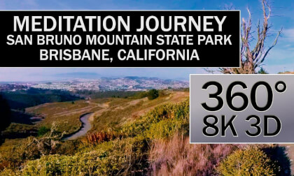 Nature Meditation in San Bruno Mountain State Park, Brisbane, California Nature Meditation in San Bruno Mountain State Park, Brisbane, California
