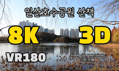 [Healing VR] A Walk in Ilsan Lake Park, Goyang, South Korea [일산호수공원 산책] Quest, Vision Pro, PICO VR180
