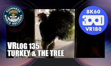 Turkey & The Tree (VRLOG 135) VR Video Turkey & The Tree (VRLOG 135) VR