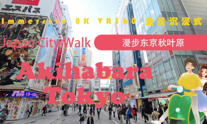 Japan City Walk | Tokyo | 漫步东京秋叶原 | Akihabara VR Video Japan City Walk | Tokyo | 漫步东京秋叶原 | Akihabara VR
