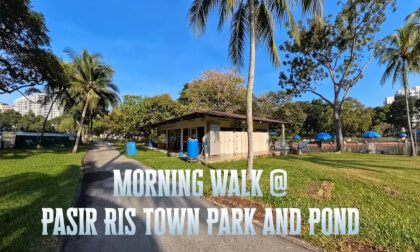 🚶Leisure Walking 🚶Pasir Ris Town Park and Pond Singapore 🚶Leisure Walking 🚶Pasir Ris Town Park and Pond Singapore