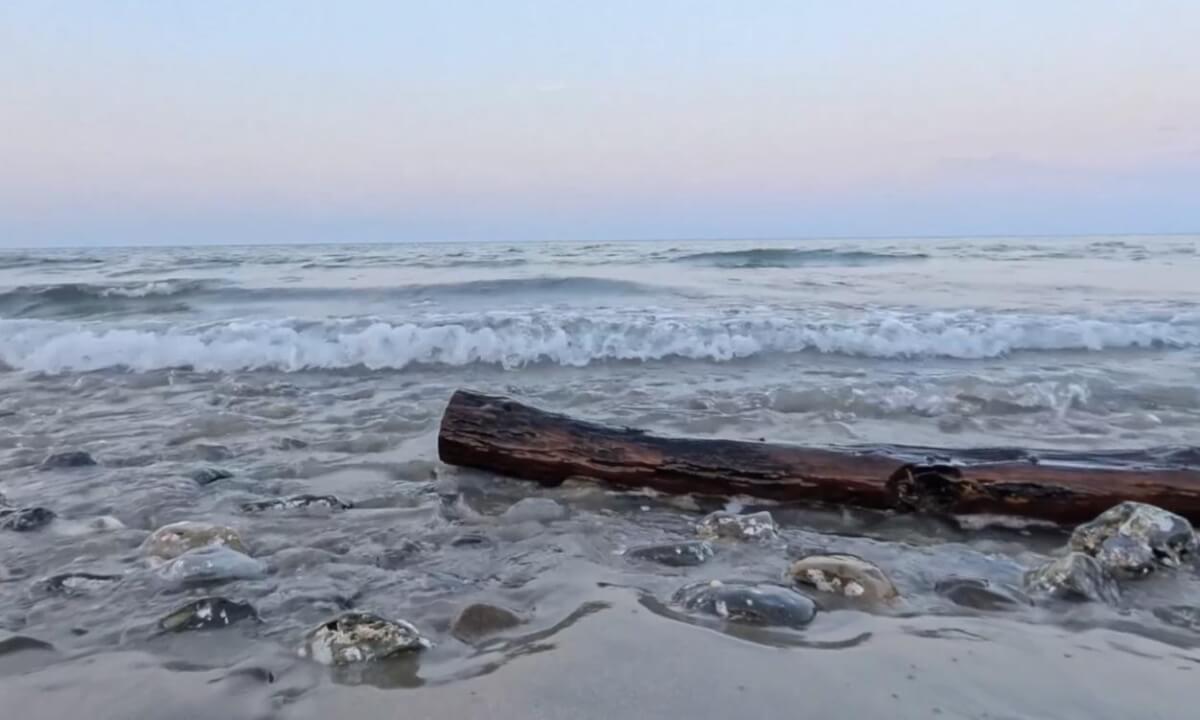 VR Relax - Sunset on a Corsican Beach in 360°