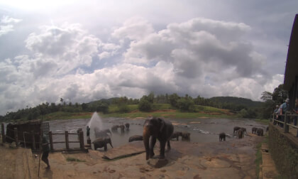 V1000030 VR Video V1000030 VR