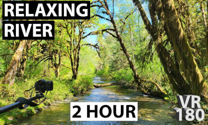 VR180 | Lazy Jungle River | Olympic Peninsula, Washington VR180 | Lazy Jungle River | Olympic Peninsula, Washington