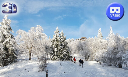 To the Donon with snow 180 VR 3D 2023 VR Video To the Donon with snow 180 VR 3D 2023 VR