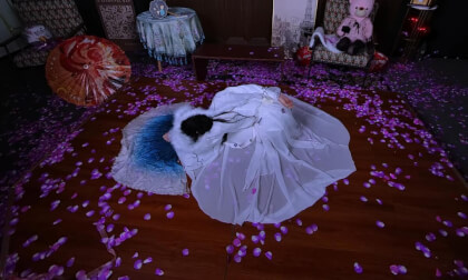 狸妖妖20241208001 白狐 3D VR 180 8K VR Video 狸妖妖20241208001 白狐 3D VR 180 8K VR