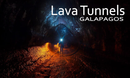 Lava Tunnels of Santa Cruz, Galápagos | 8k | 1803d Lava Tunnels of Santa Cruz, Galápagos | 8k | 1803d
