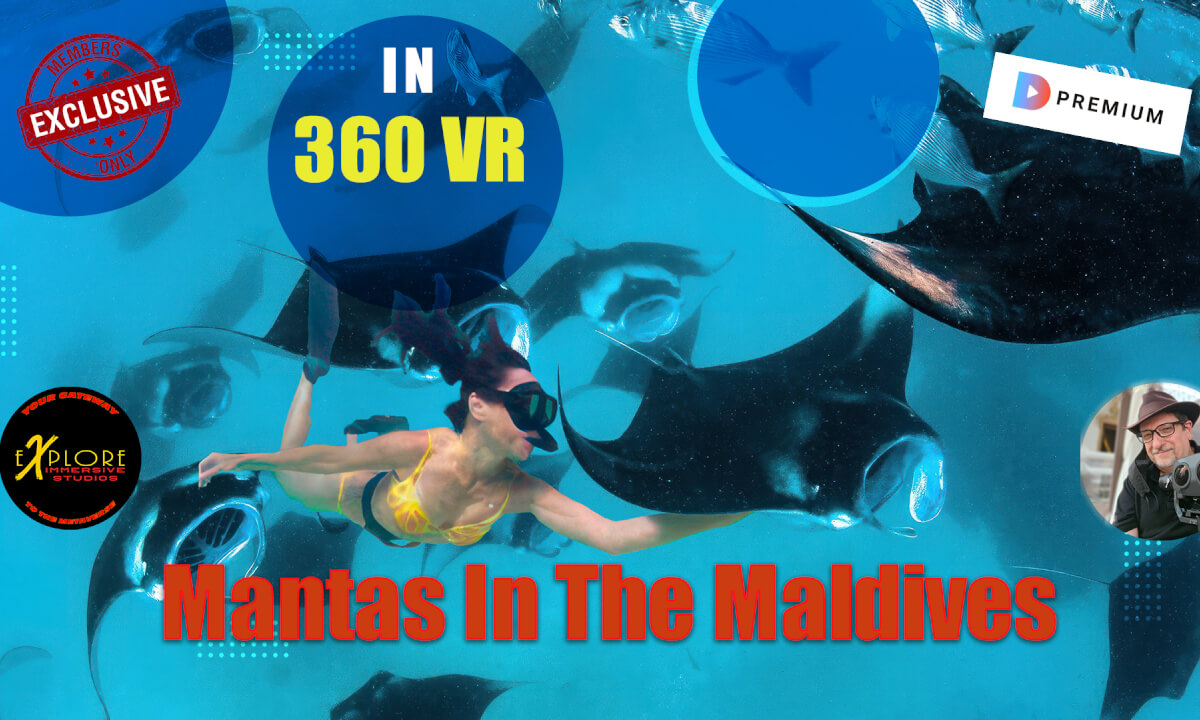 Mantas in the Maldives in 3D