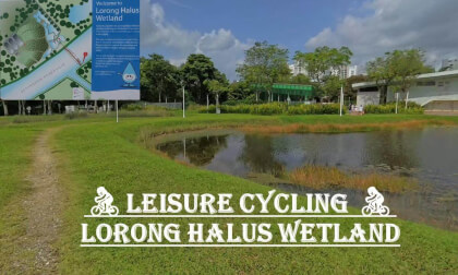🚴🏻♀️Leisure Cycling 🚴🏻♀️| Lorong Halus Wetland 🚴🏻♀️Leisure Cycling 🚴🏻♀️| Lorong Halus Wetland