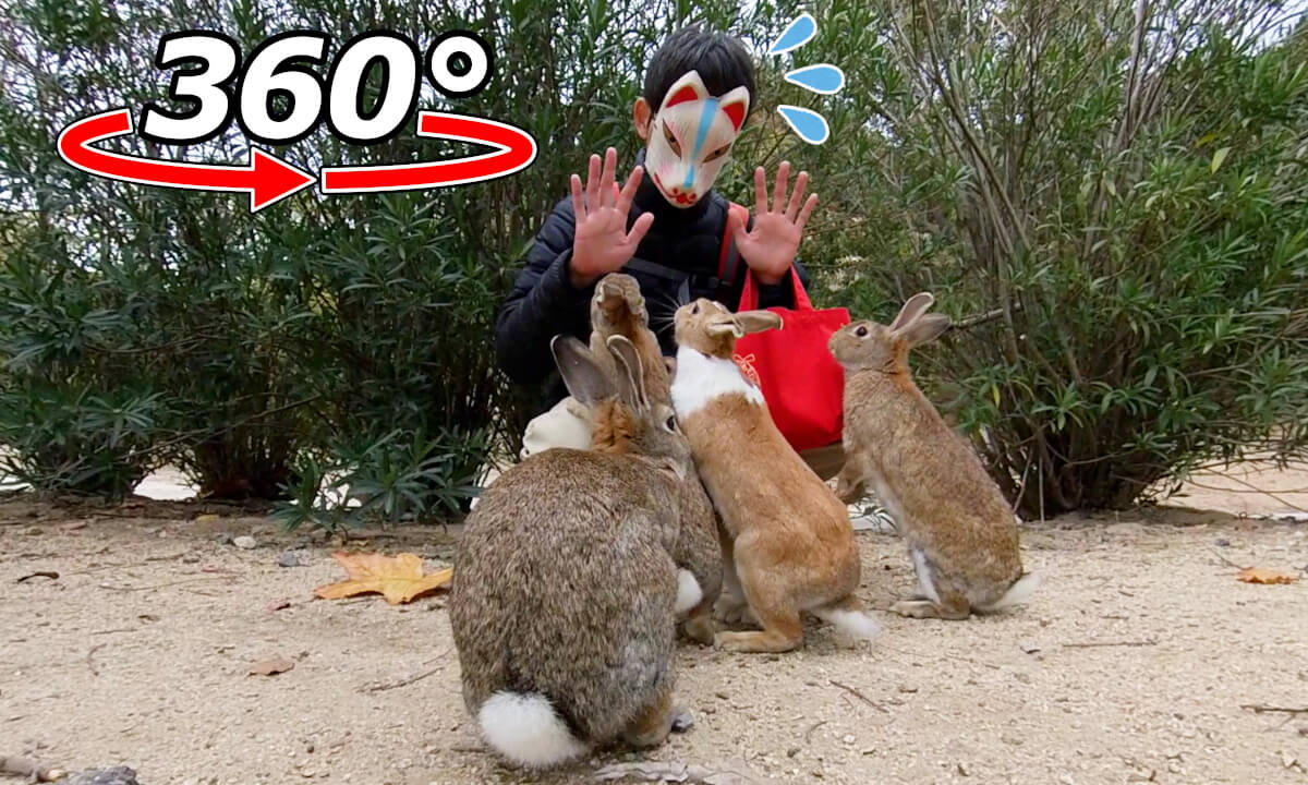 VR 360° | Gluttonous rabbits! At the end, there was a storm of dissatisfaction from everyone!?