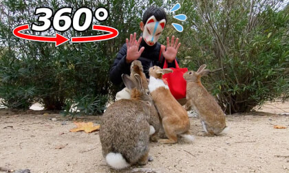 VR 360° | Gluttonous rabbits! At the end, there was a storm of dissatisfaction from everyone!? VR 360° | Gluttonous rabbits! At the end, there was a storm of dissatisfaction from everyone!?