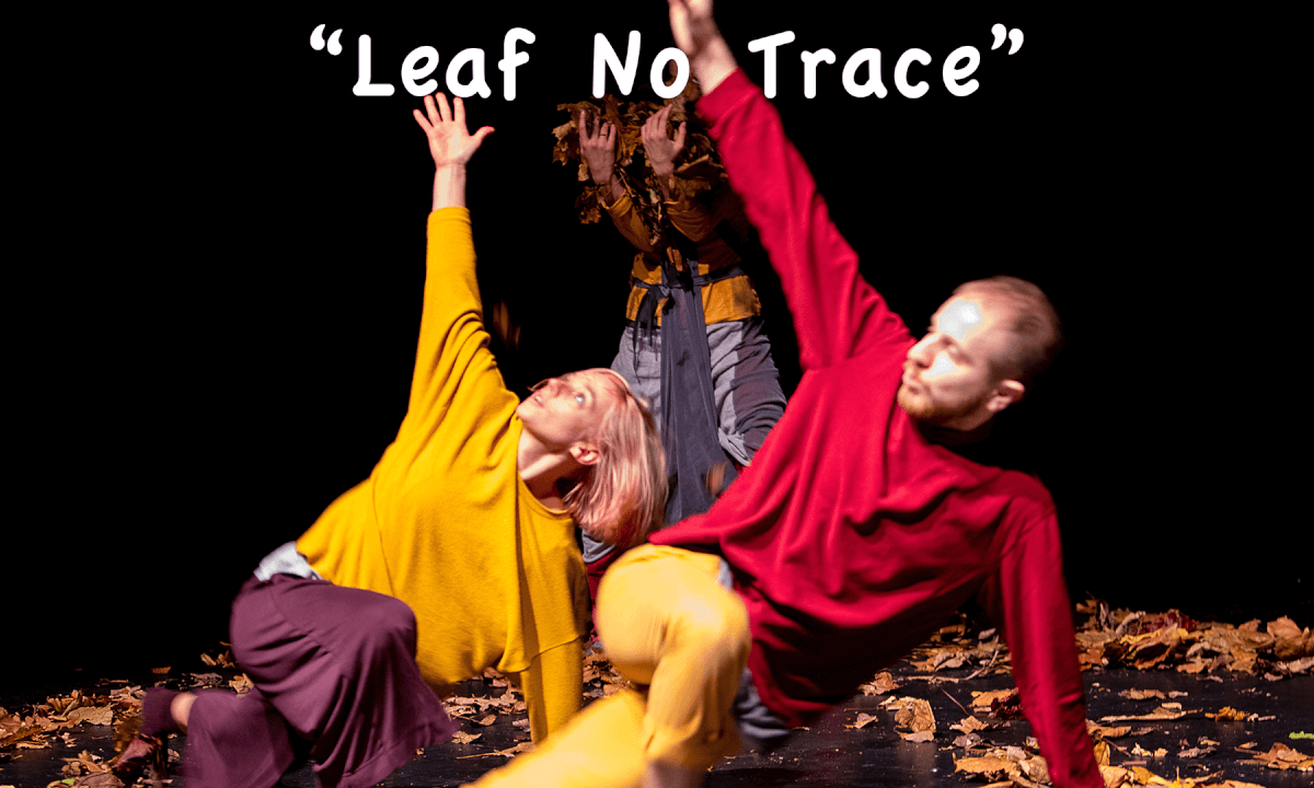Leaf No Trace - A 3D Immersive Dance Performance