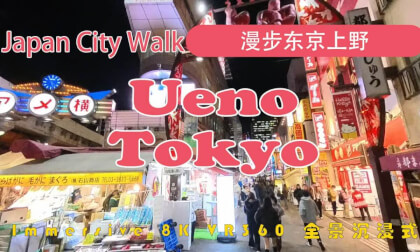 Japan City Walk | Tokyo | 漫步东京上野 | Ueno VR Video Japan City Walk | Tokyo | 漫步东京上野 | Ueno VR