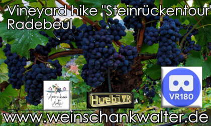 Vineyard hike Vineyard hike