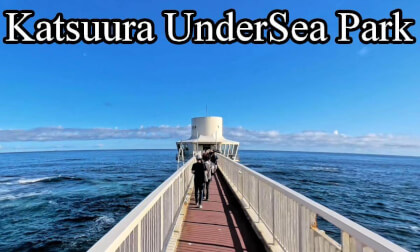Katsuura UnderSea Park Katsuura UnderSea Park