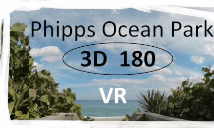 Phipps Ocean Park 3D 180 VR Video Phipps Ocean Park 3D 180 VR