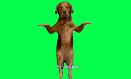 Interesting Dog Dancing有趣狗狗跳舞 Interesting Dog Dancing有趣狗狗跳舞