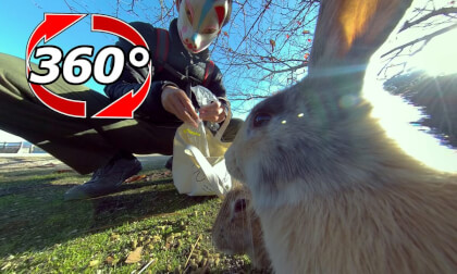 [360 Video] Collect food!? Eat as much as you can before that!!