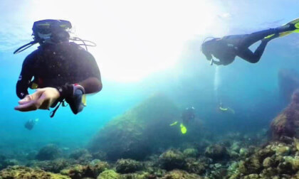 Scuba diving, Spain with Insta360X3 VR Video Scuba diving, Spain with Insta360X3 VR