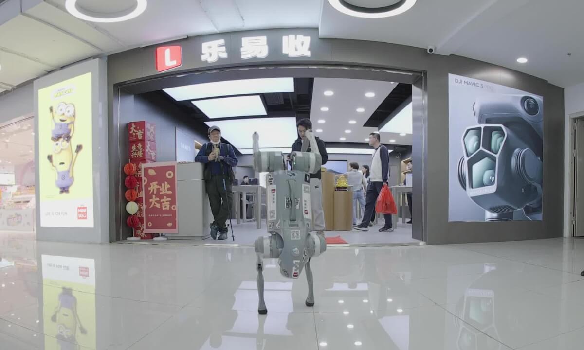 Robot dogs made in China